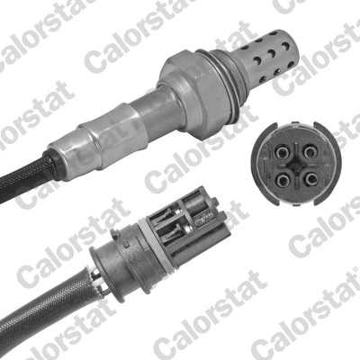 Oxygen Sensor